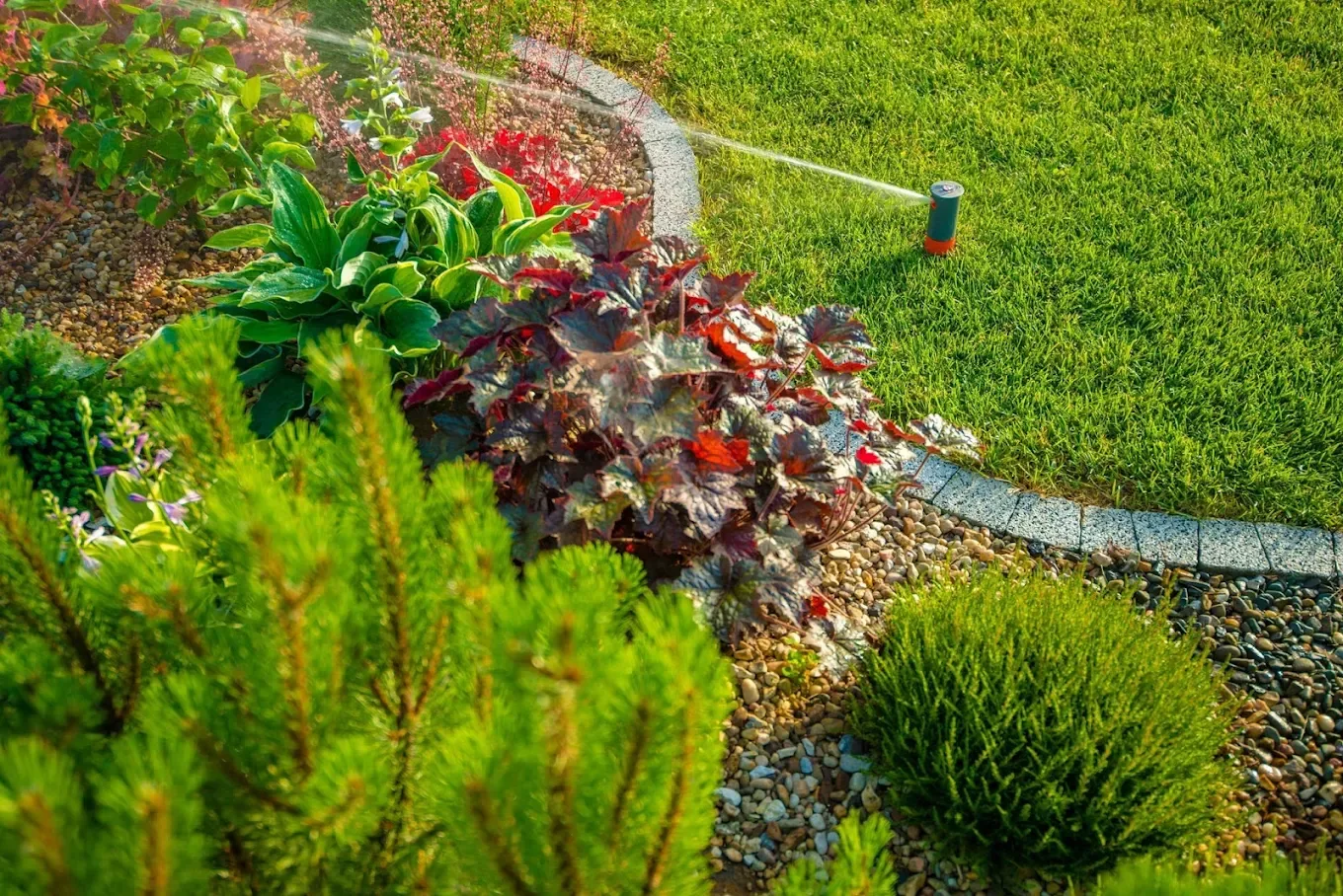 Green lawn with sprinkler watering plants in a vibrant garden