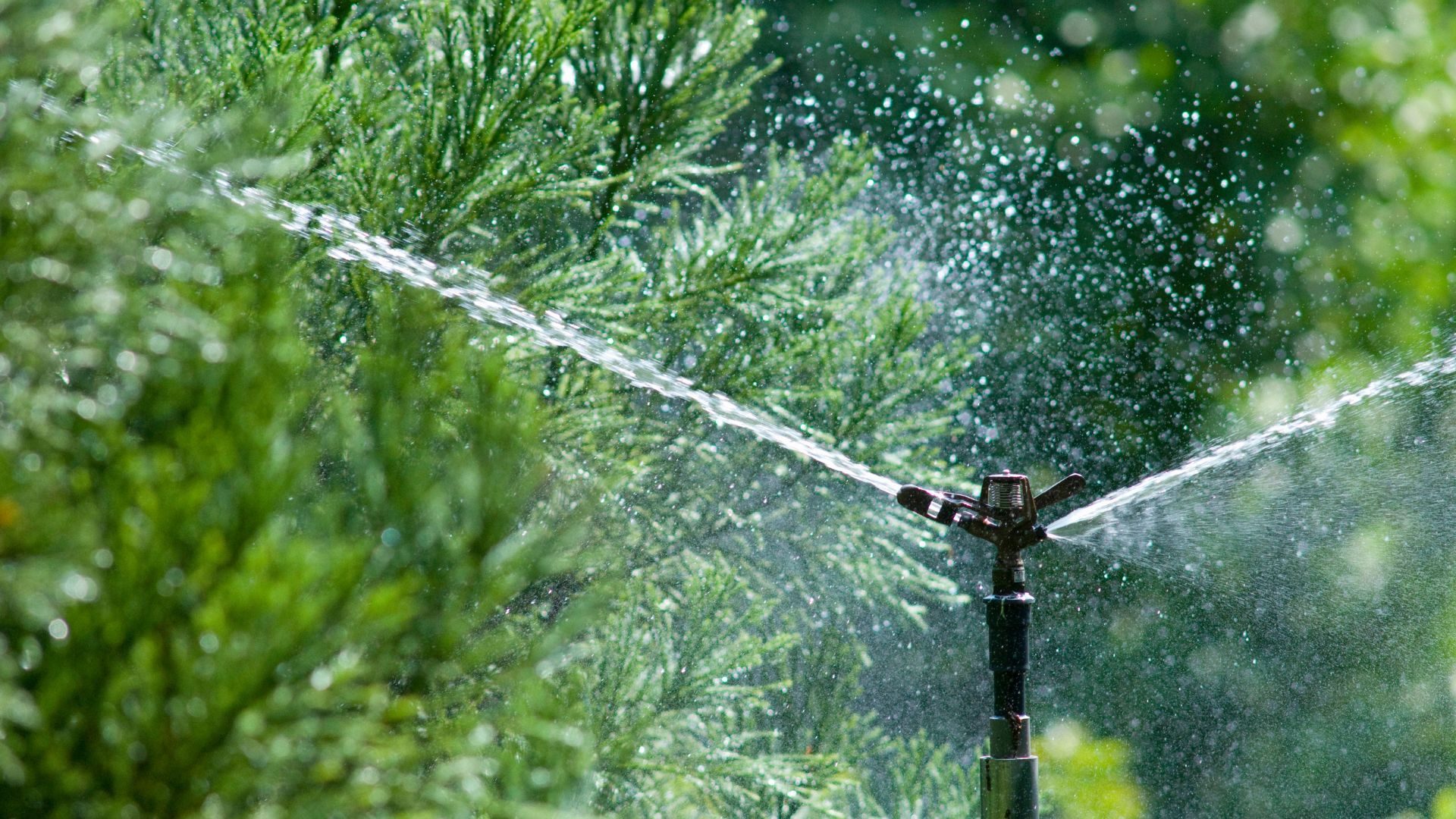 How to Cap Off a Sprinkler Head
