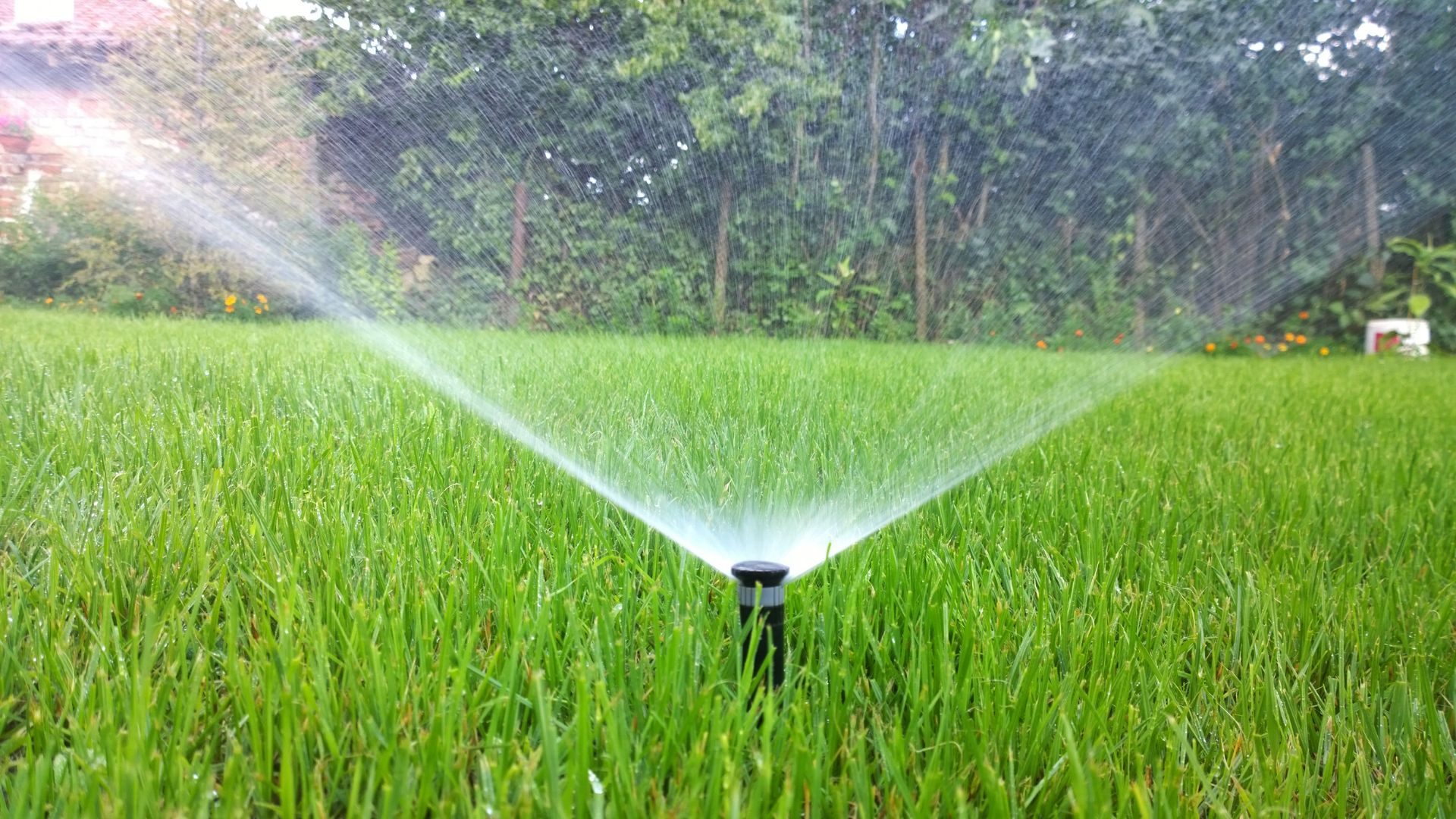 How to Tell if a Sprinkler Valve Solenoid is Bad